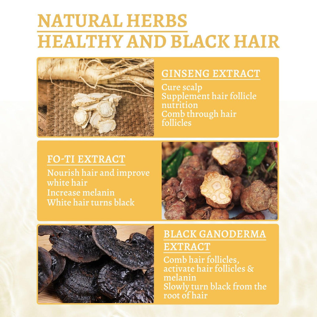 Premium Reishi Hair Shampoo For Gray Hair,Support Follicle And Hair Health,Hair Care And Nourishing Moisturizing Shampoo Essence