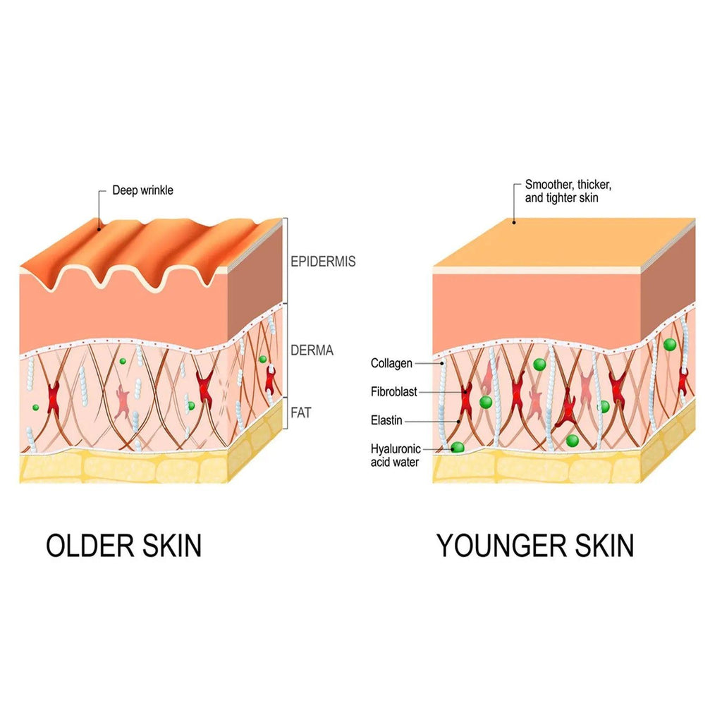 Intensive Anti-wrinkle Fade Fine Lines And Dark Circles Adjust Skin Tone Tighten And Moisturize Skin Care Zera