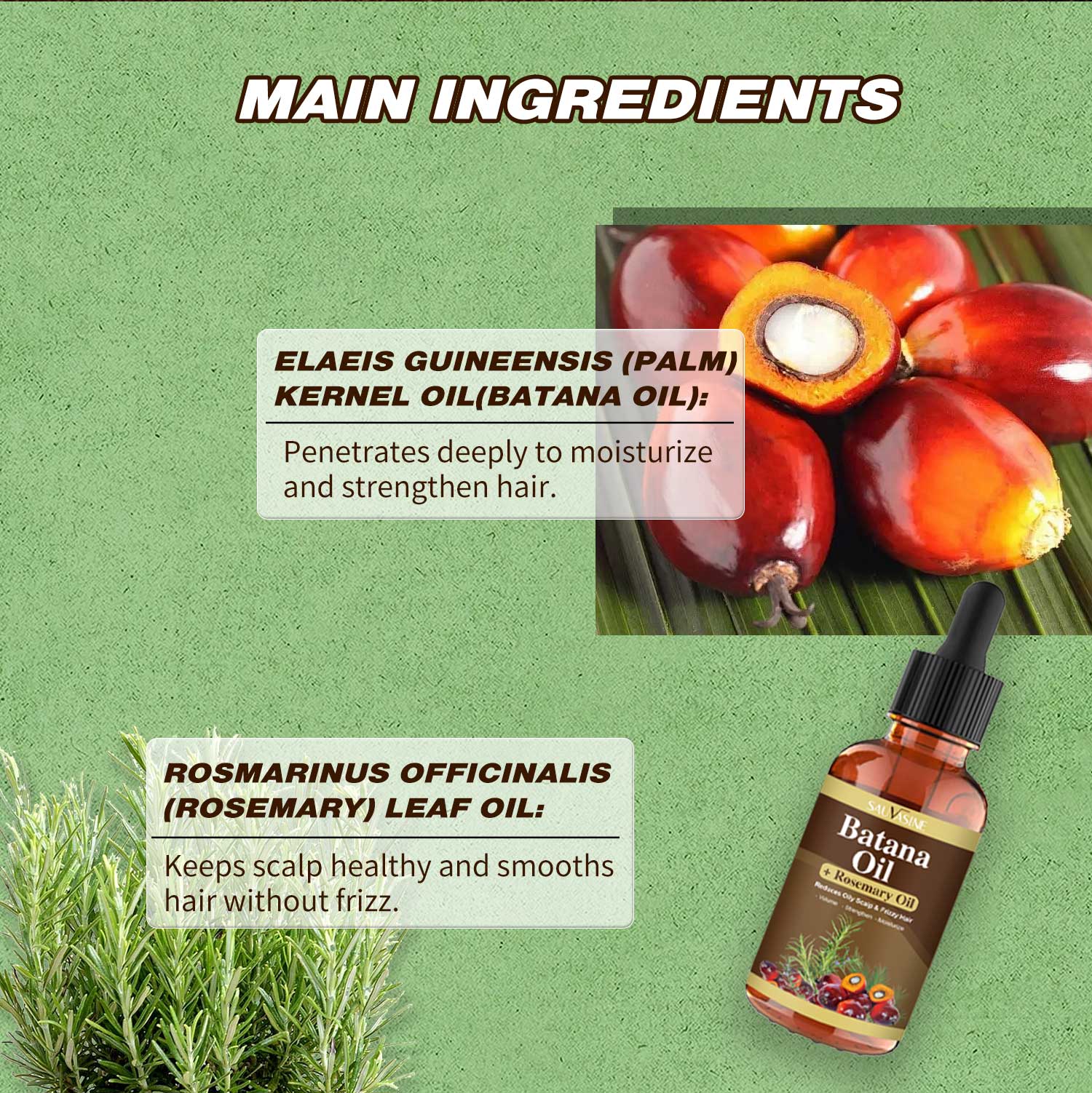 Batan Oil, Rosemary Oil