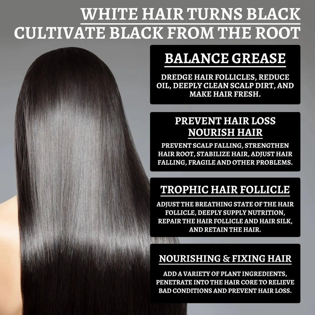Premium Reishi Hair Shampoo For Gray Hair,Support Follicle And Hair Health,Hair Care And Nourishing Moisturizing Shampoo Essence
