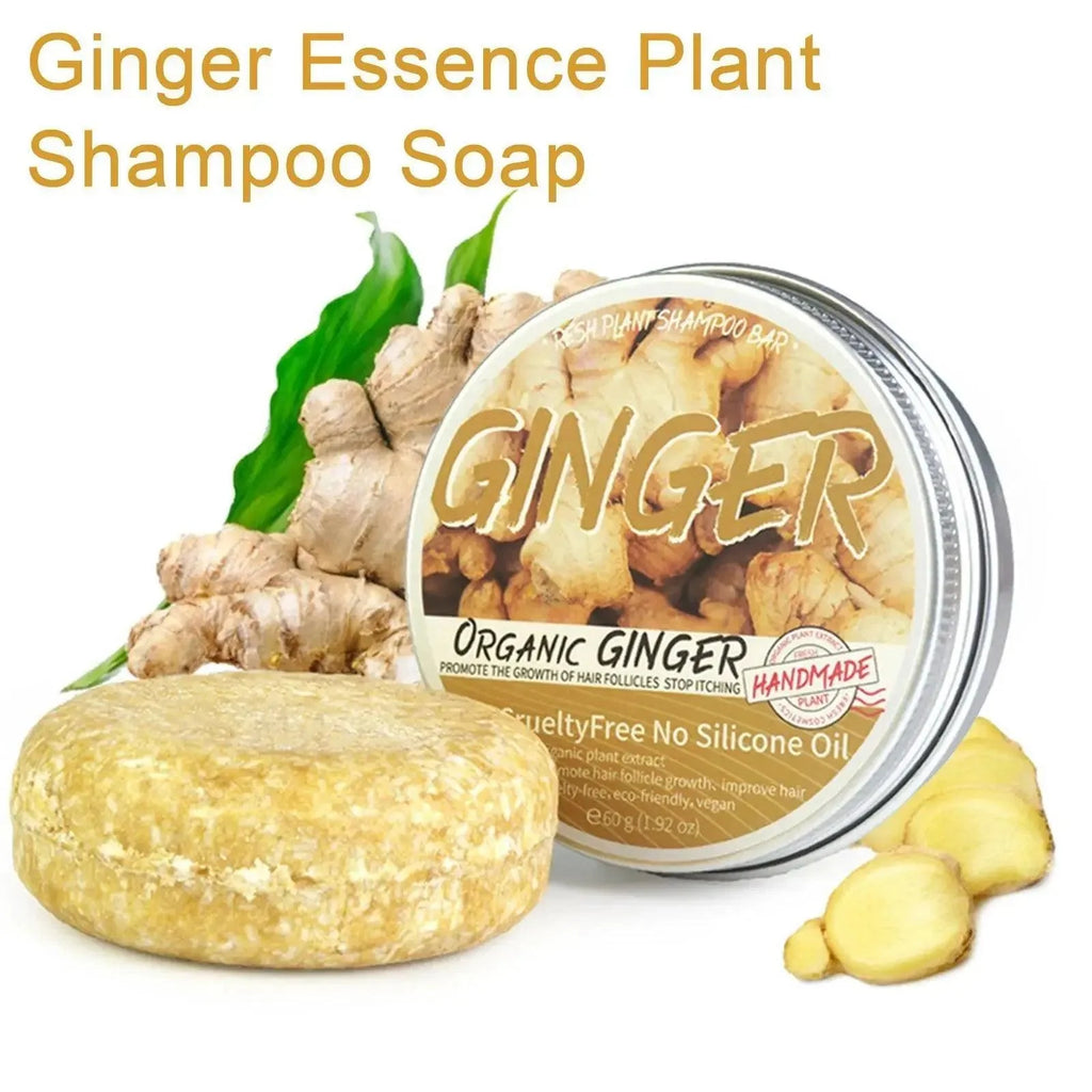 Ginger Polygonum Soap Shampoo Soap Cold Processed Soap Hair Shampoo Bar Pure Plant Hair Shampoos Hair Care - BEAUTIRON