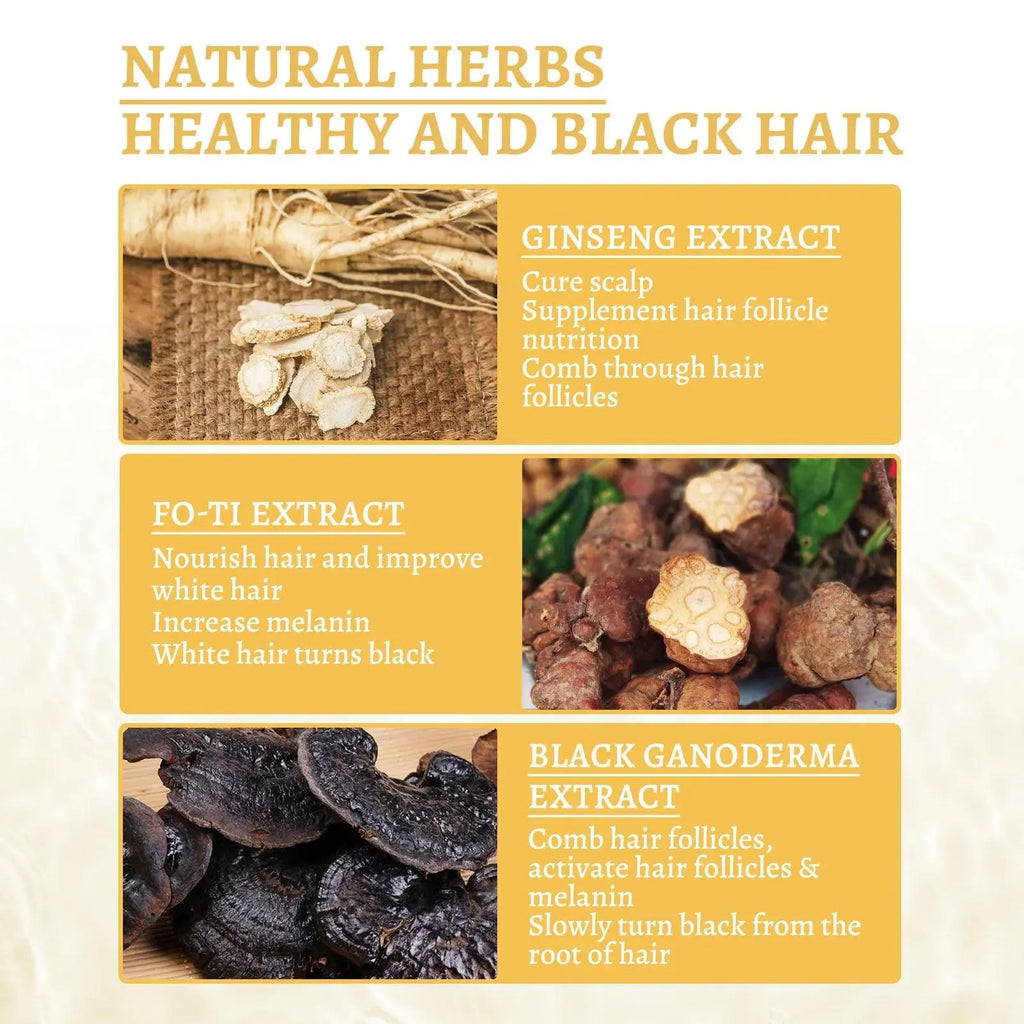 Premium Reishi Hair Shampoo For Gray Hair,Support Follicle And Hair Health,Hair Care And Nourishing Moisturizing Shampoo Essence